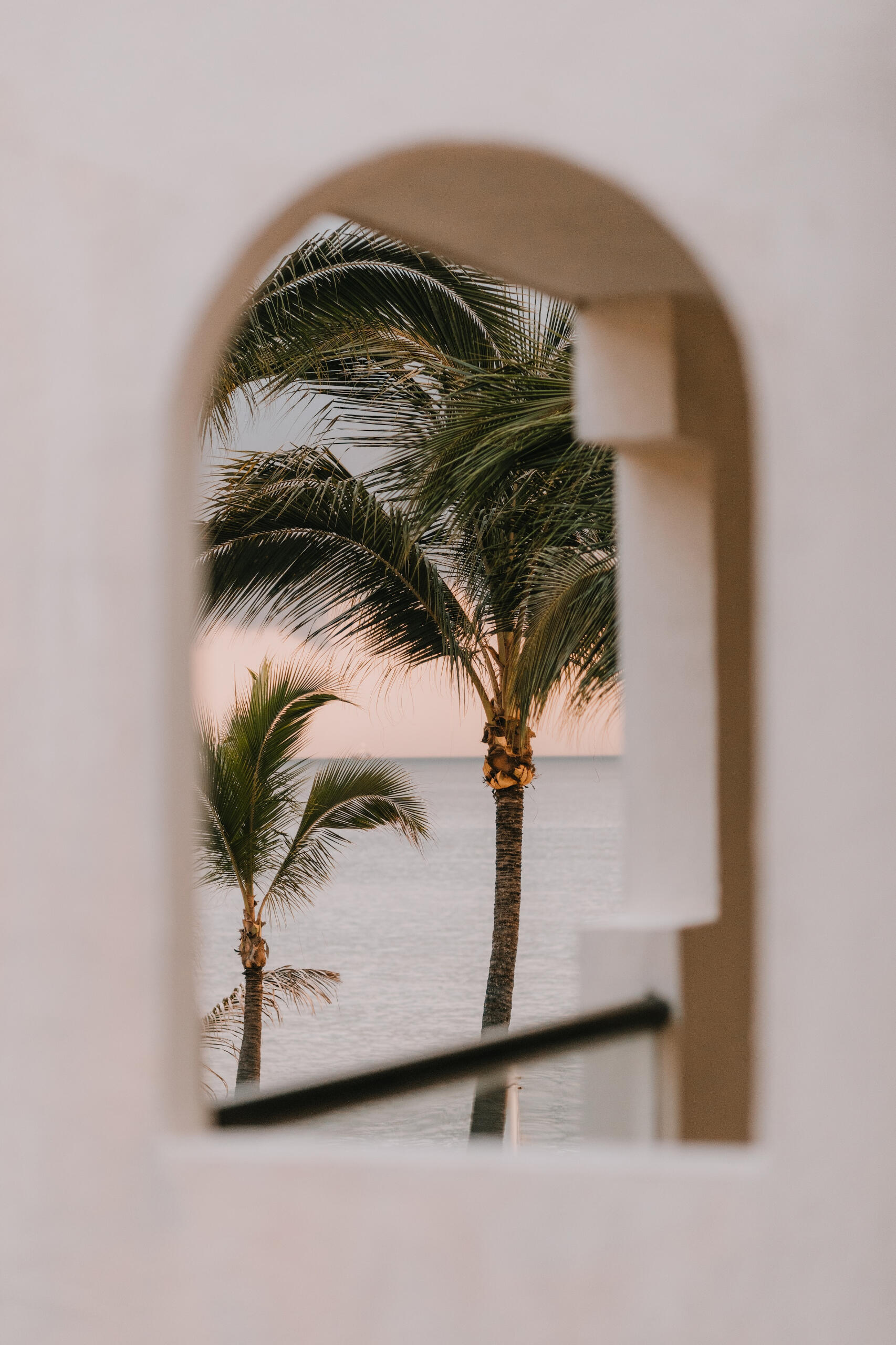 A pair of palm trees sway in the breeze, seen through a window overlooking the ocean at sunset.
